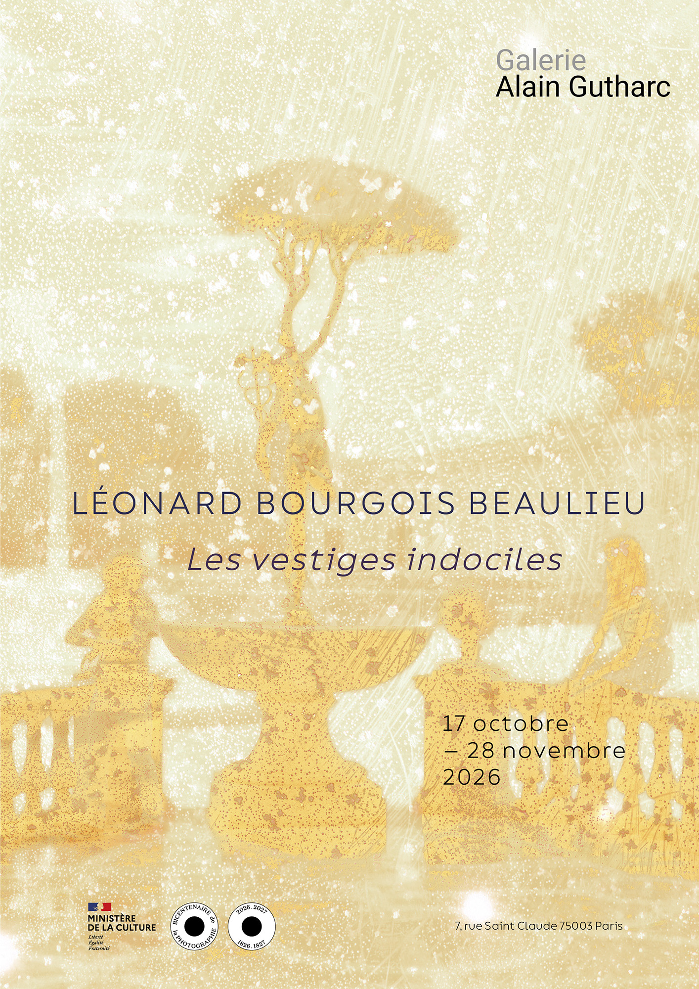 Les Vestiges indociles — exposition personnelle à la galerie Alain Gutharc